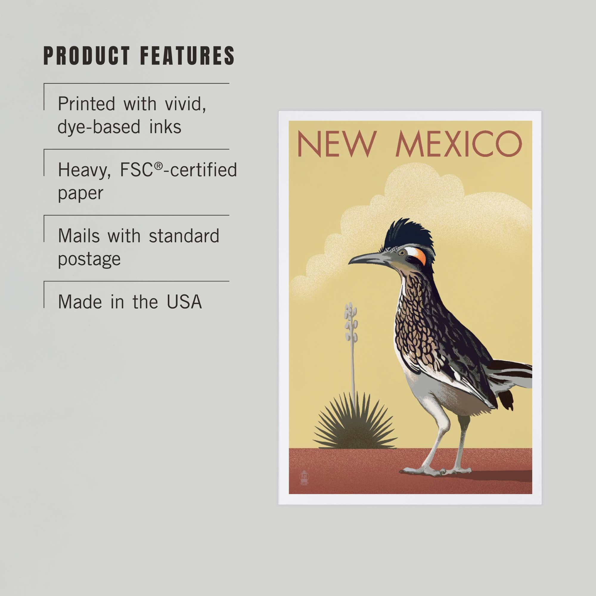 Lantern Press - Wholesale Postcard - PREMIUM POSTCARDS New Mexico, Roadrunner, Lithograph2