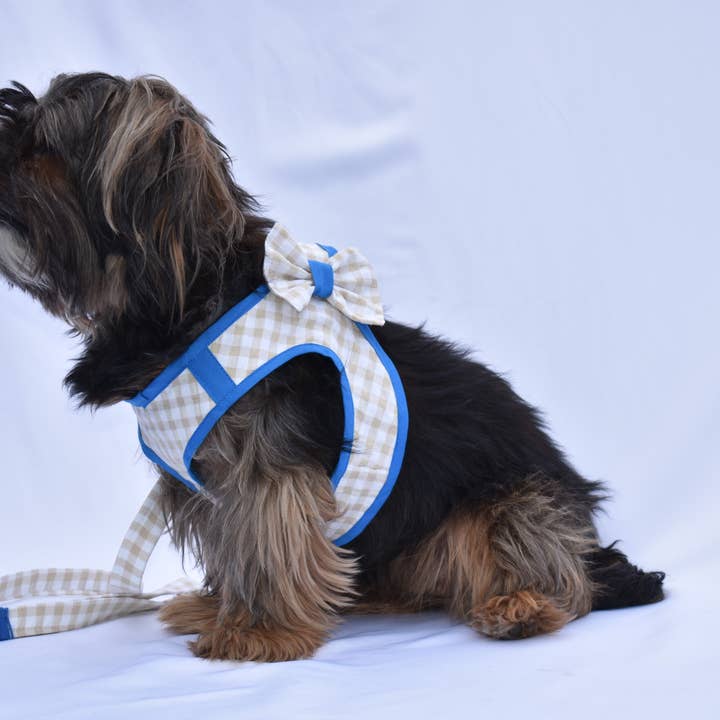 Geschirr mit Leine für den Großhandel von Mayeli Spain