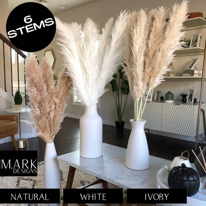Modern Ark Designs - Wholesale Dried/Pressed Flowers - Fluffy Pampas Grass Stems Extra Large Pampas Grass