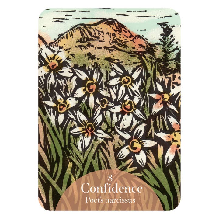 ROCKPOOL PUBLISHING - Wholesale Tarot cards - The Language of Flowers Oracle: 44 Full-Color Cards & Book4