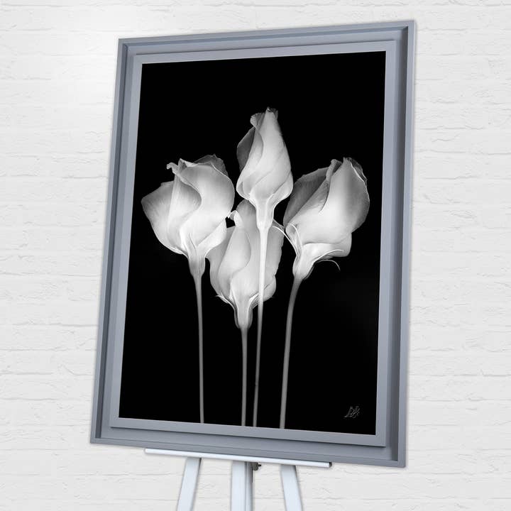 Ian Winstanley (Mono Floral II) Pre-Framed Prints for wholesale by The Art Group