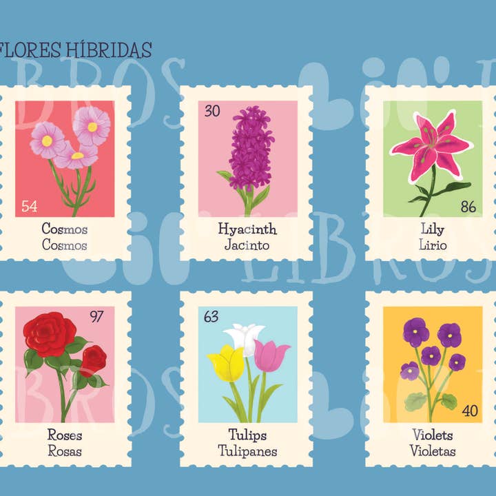 Lil' Libros ~ Bilingual Children's Books & Games - Wholesale Early Reader Book (6-8) - My First 100 Plantitas & Florecitas Words (Bilingual)3