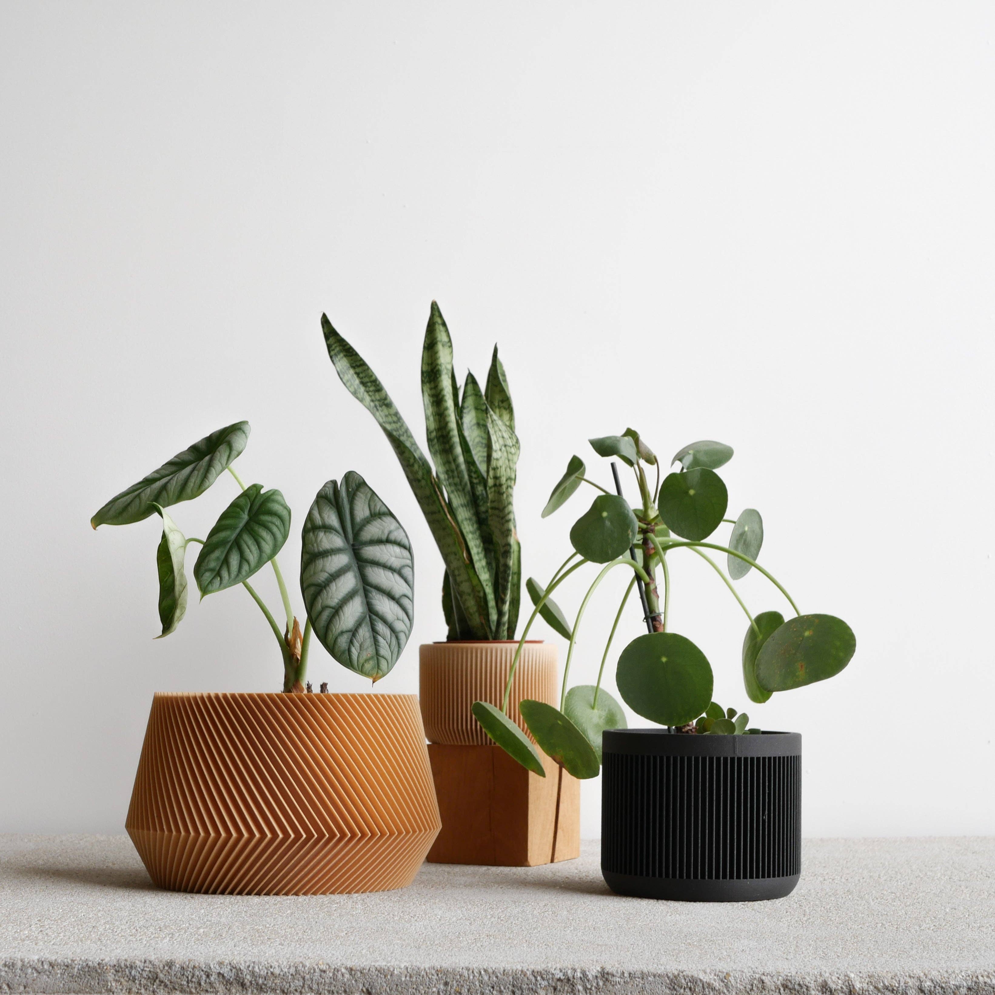 MINIMUM DESIGN - Wholesale Plant Pot - Indoor Plant House - Beige, Black, Green, Mist white, Terracotta - JAPAN8
