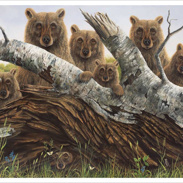 Pomegranate – wholesale Stationery/notecard set – Robert Bissell: The Portrait Notecard