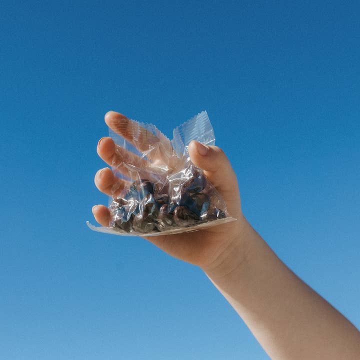 ORGANIC CHOCOLATE RAISINS- 12 X 0.75OZ HOME COMPOSTABLE BAGS for wholesale by Sun & Swell Foods