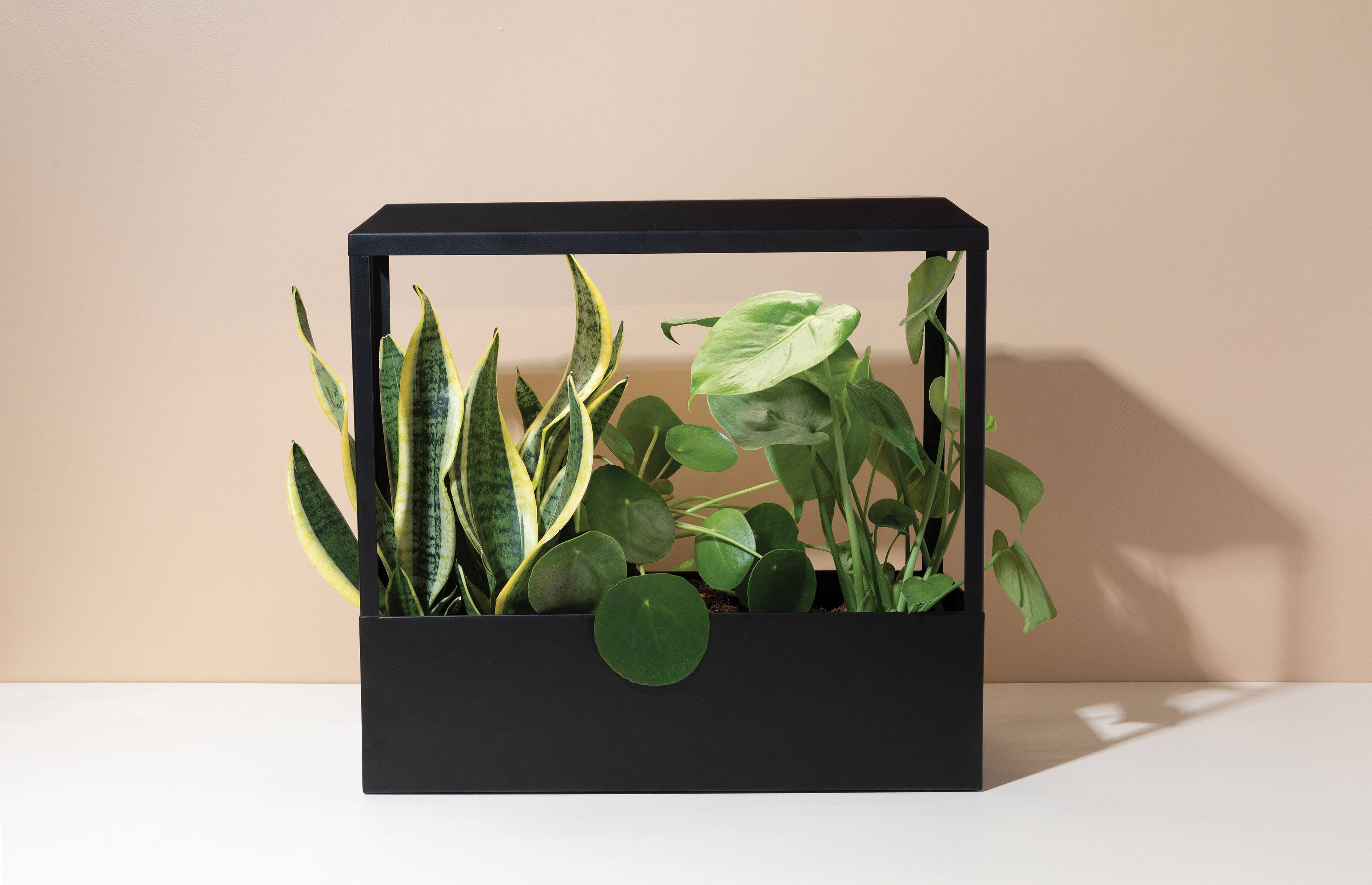 Modern Sprout - Wholesale Planter Box - Smart Growhouse - Matte Black