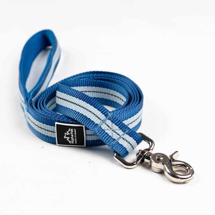 Trela Clássica de Aventura para Cão por atacado de Camping With Dogs and AlphaPak