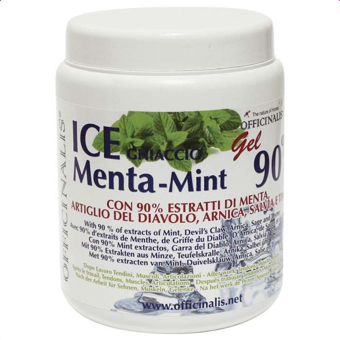 Erfrischendes Gel für Muskeln und Sehnen von Pferden für den Großhandel von PET GREENS