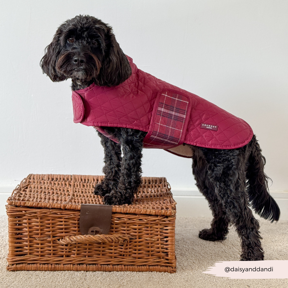 Cocopup London - Wholesale Pet Coat - Dog - LUXE Quilted Dog Coat - Mulberry Plaid12
