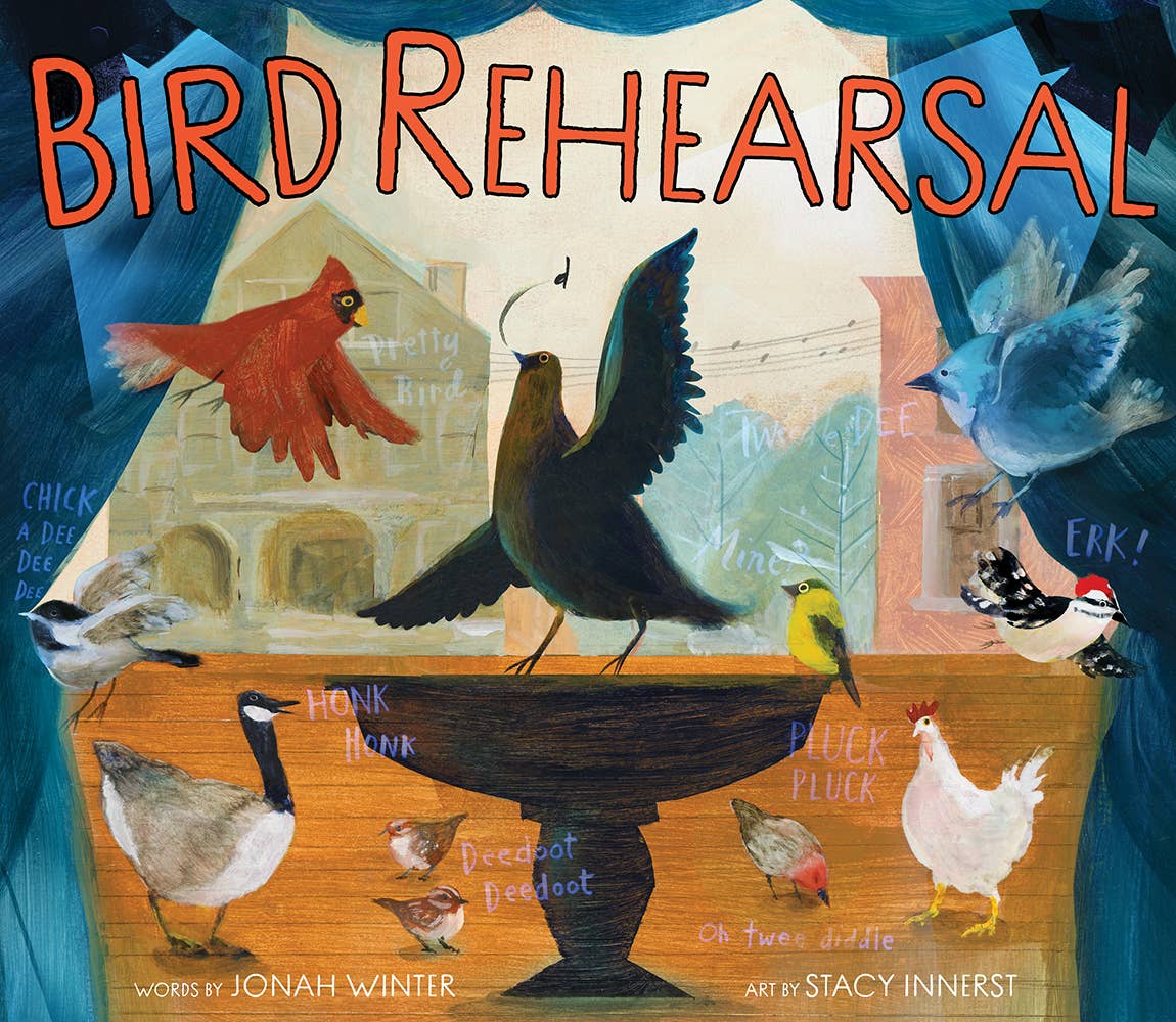 Abrams - Wholesale Preschool Book (3-5) - Bird Rehearsal: A Picture Book0