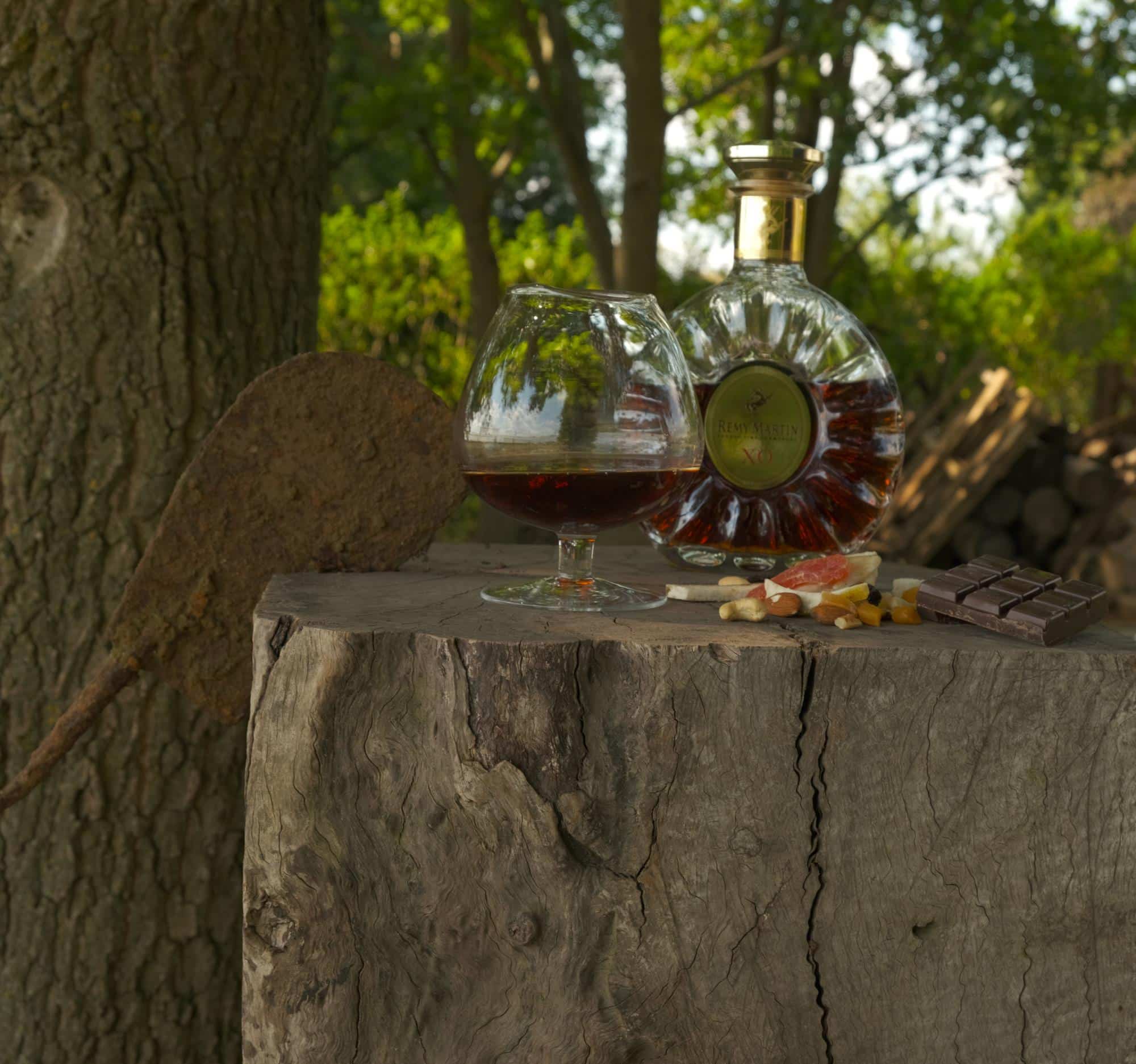 Sempre In & Outdoor Living - Wholesale Cocktail/Liquor Glass - Cognac Glass - Brandy2