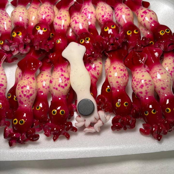 Magnets Market - Venta al por mayor Imanes - Imán de calamar2