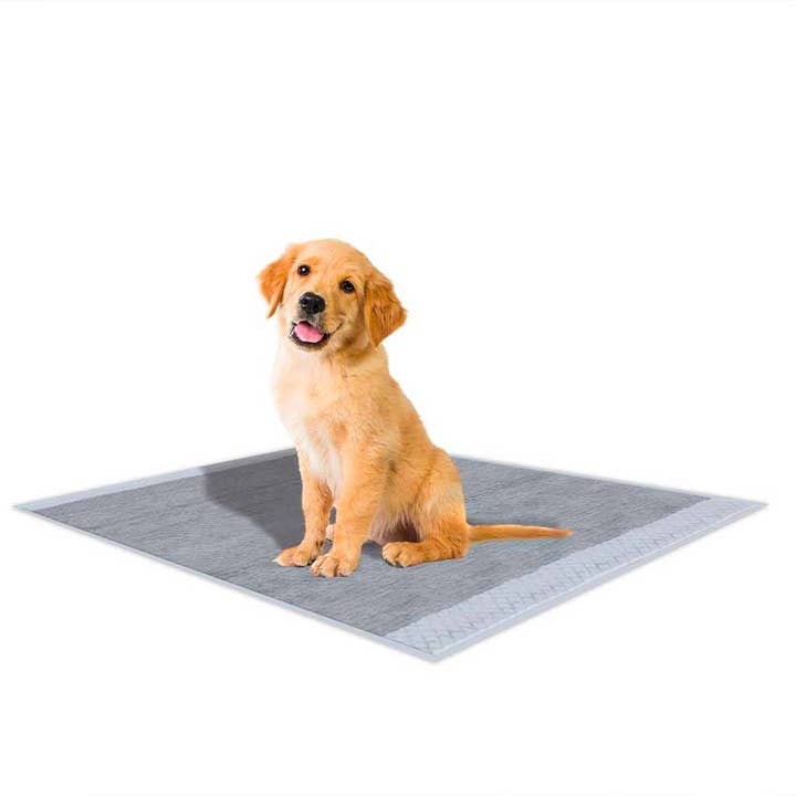 Croci Group - Wholesale Pet pee pad – Dog - Dog pads - Super Nappy - Croci