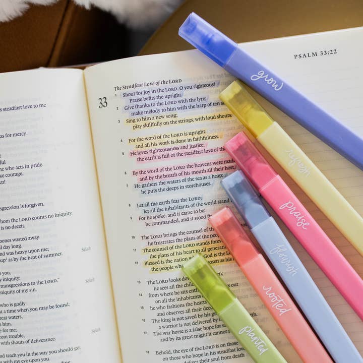 The Daily Grace Co - Wholesale Highlighter - Garden Highlighters