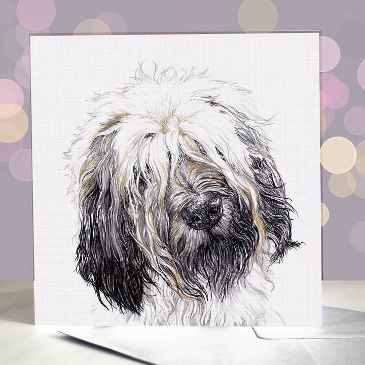 Catalan Sheepdog Most Pupular Greetings Card for wholesale by Amber Marie Studio