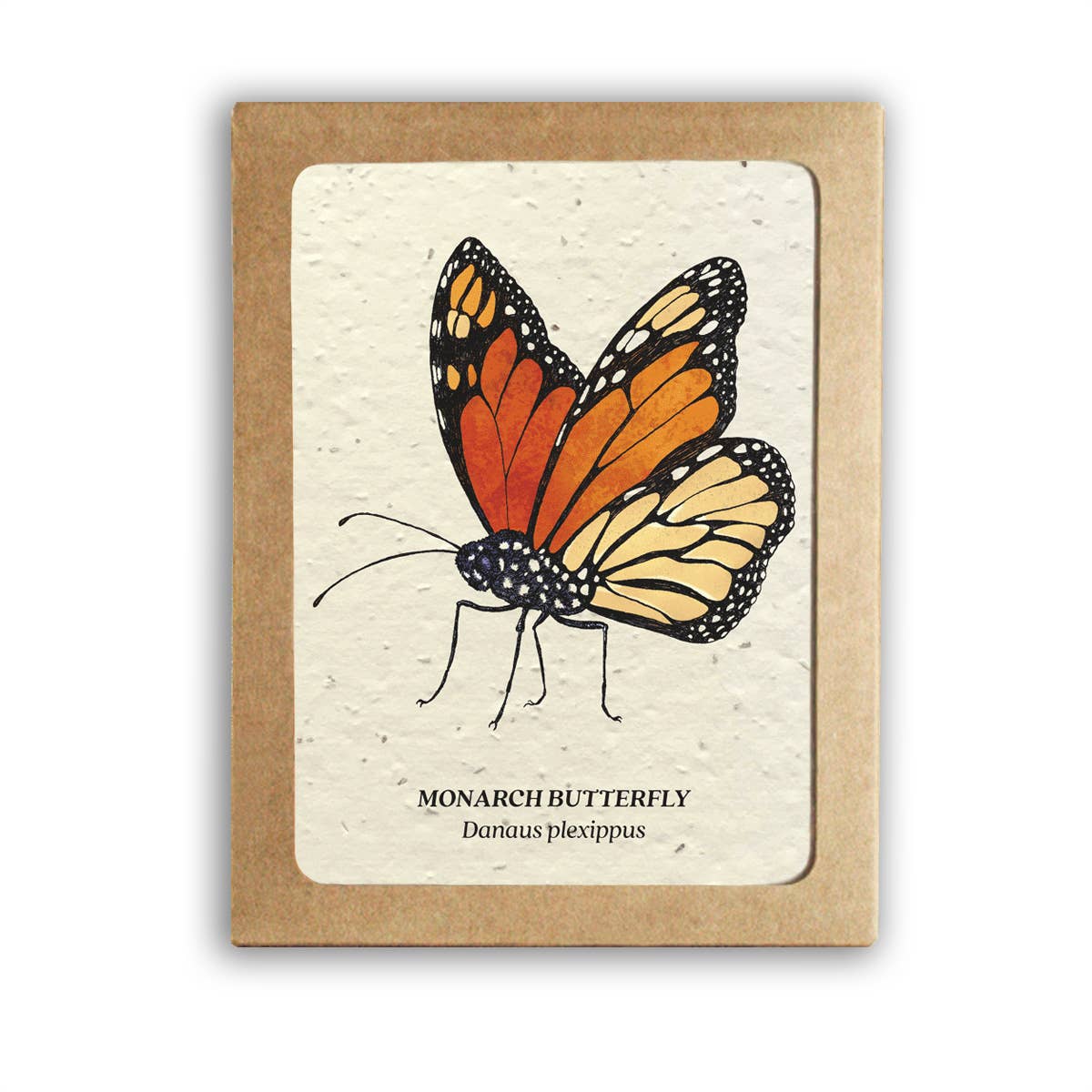 Small Victories - Wholesale Stationery/Notecard Set - Insect Card Set - Plantable Wildflower Seed Paper1