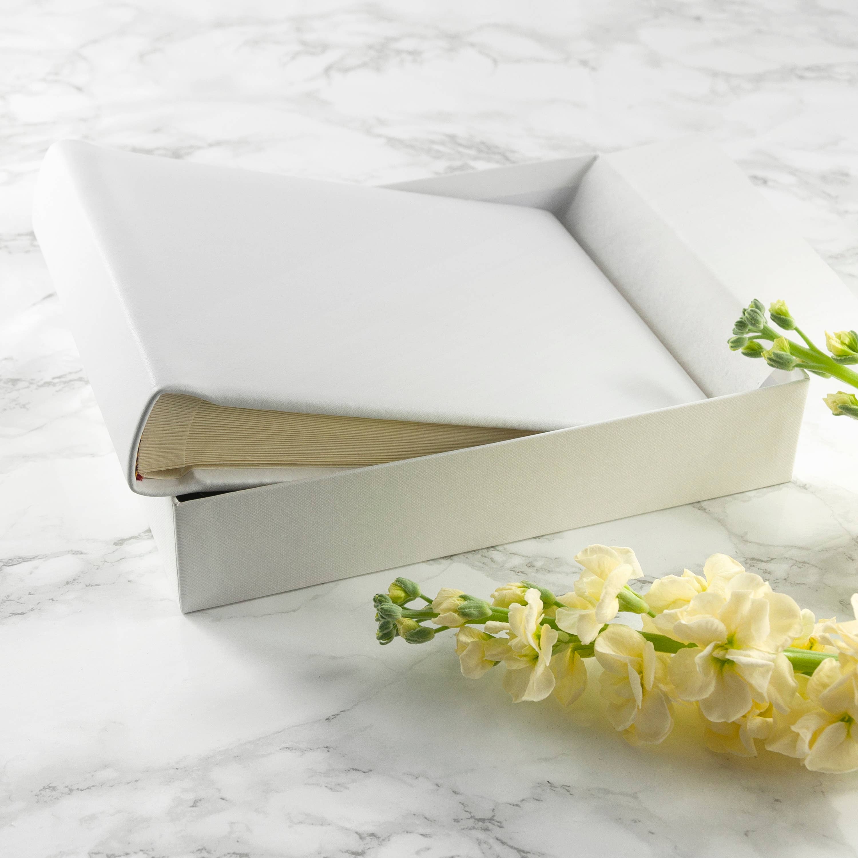 Treat Republic - Vente Albums photo - Album photo Dream Vachetta en cuir italien blanc13