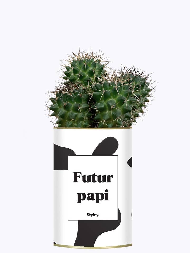 Futur Papi - Plante pour la vente par Styley
