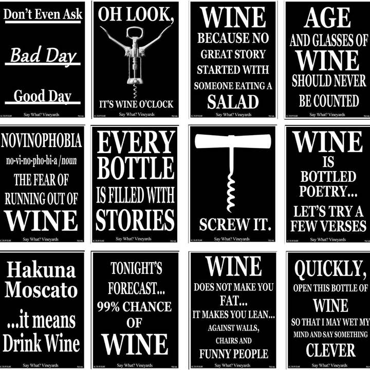NOVELTIES WHOLESALE INC - Vendita all'ingrosso Regalo divertente/originale - Etichette Divertenti per Bottiglie di Vino - 12 Design Assortiti per Confezione