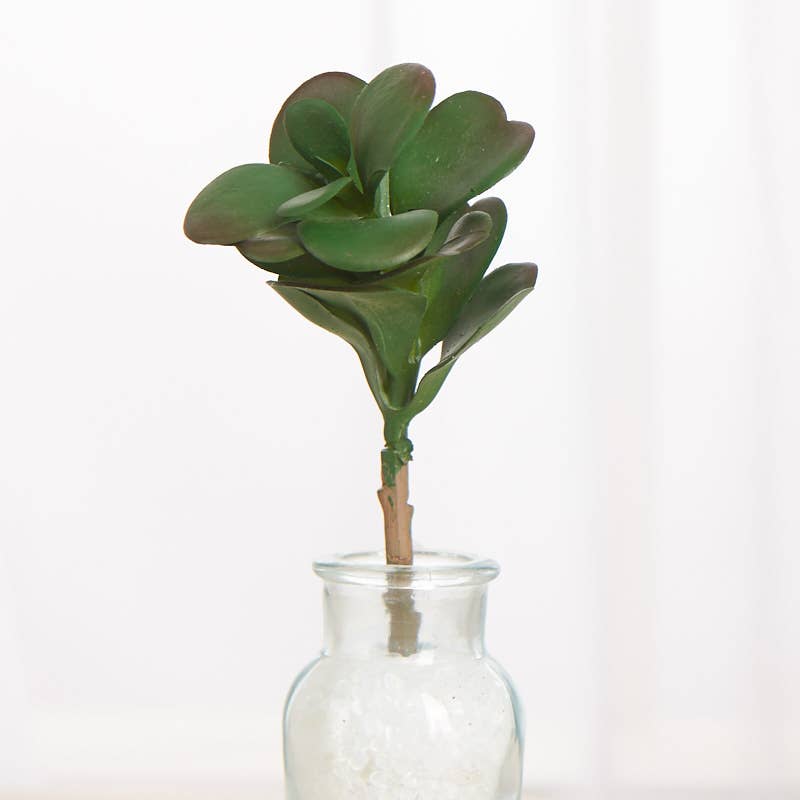 Factory Direct Craft - Vendita all'ingrosso Piante artificiali - Finto Ramo di Kalanchoe Succulenta da 18,4 cm3