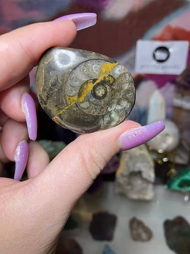 Prettygoods - Wholesale Spiritual Stone/Crystal - Moroccan Orthocera Fossil0