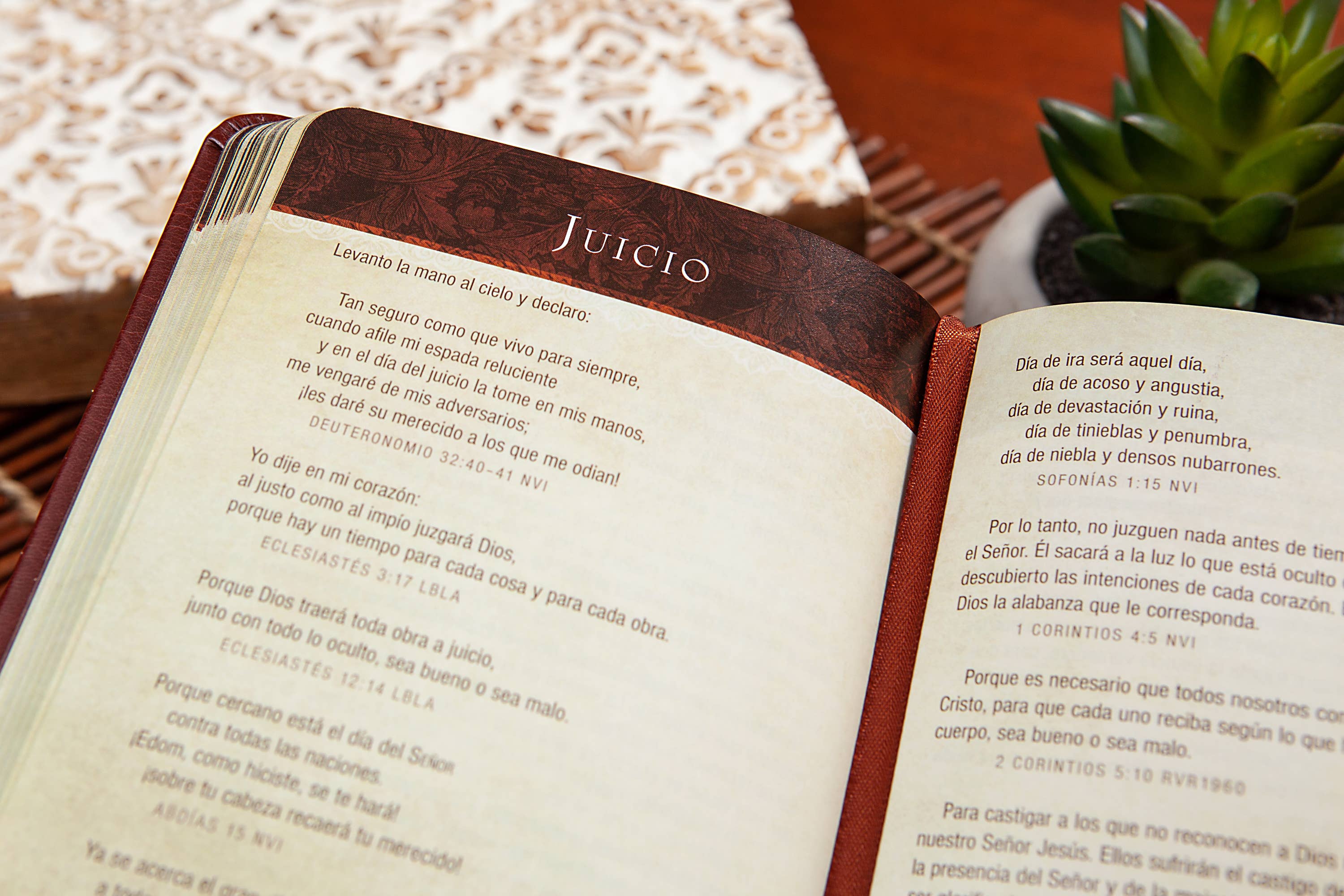 BroadStreet Publishing Group, LLC - Wholesale Religion - Promesas De La Biblia Para La Vida (Spanish Devotional)2