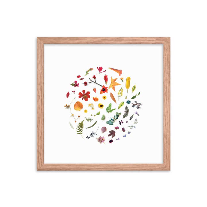 Rainbow Nature for wholesale by evie s.