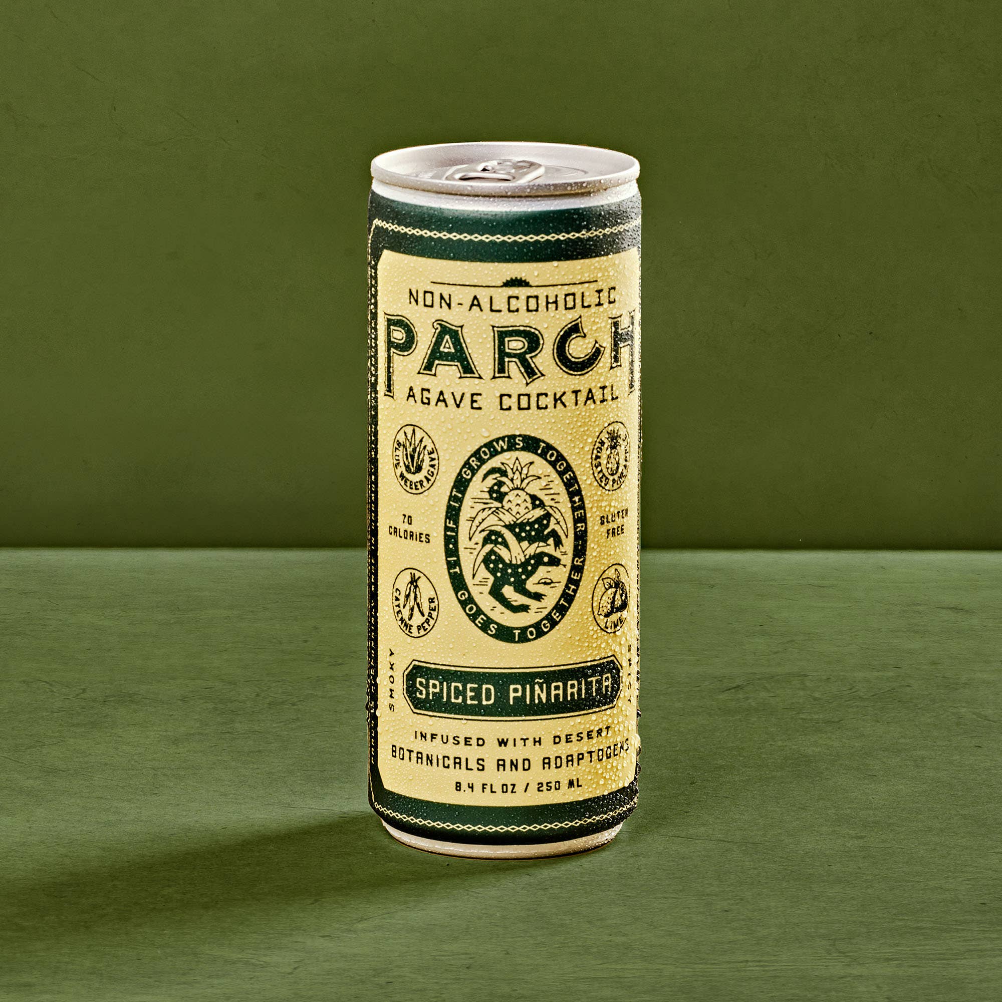 Parch Spirits Co. - Wholesale Non-Alcoholic Aperitif/Mocktail - PARCH Spiced Piñarita Non-Alc Agave Cocktail - 24 Cans5