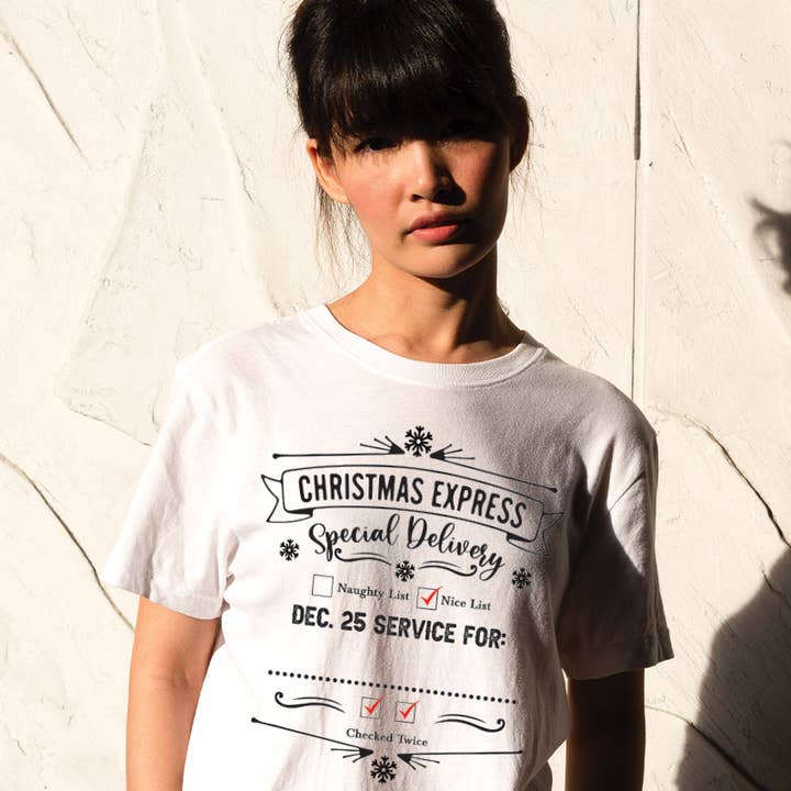 WPB-2216. CHRISTMAS EXPRESS for wholesale by Polar bee