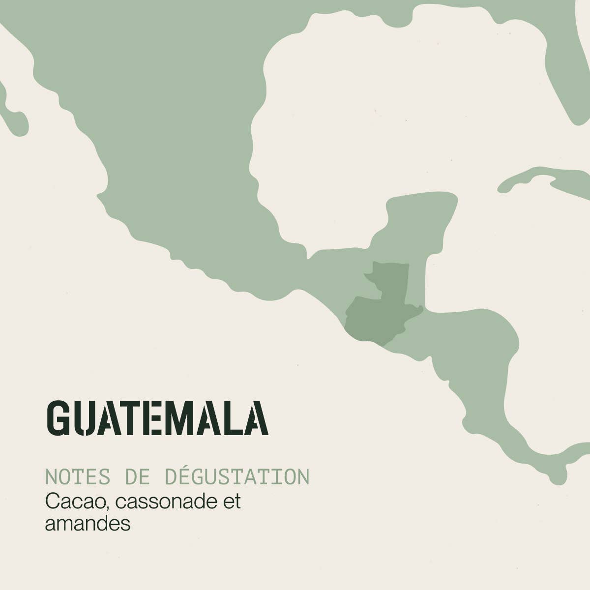 INCAPTO COFFEE - Wholesale Coffee Beans - Specialty Bean Coffee Origin GUATEMALA 100% Arabica3