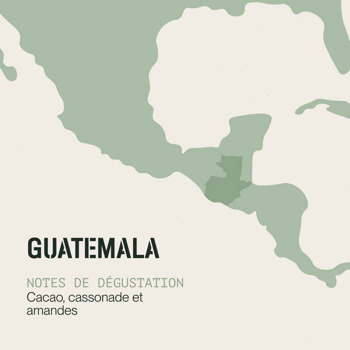 INCAPTO COFFEE - Vendita all'ingrosso Caffè in grani - Caffè specialty da chicchi di origine Guatemala 100% Arabica3