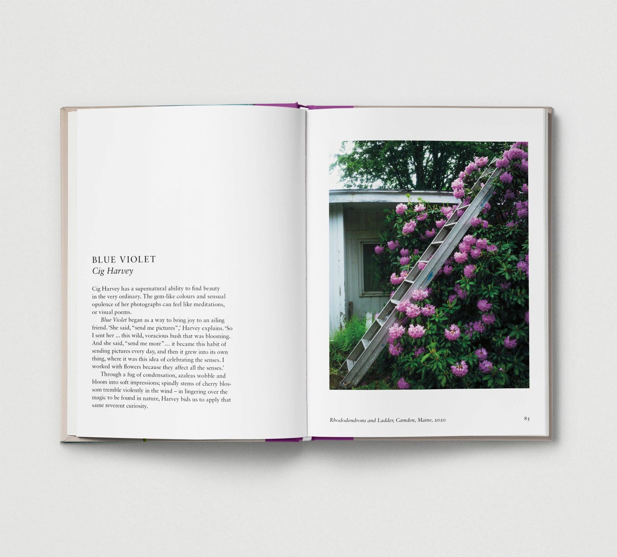 Hoxton Mini Press – wholesale Display book – Flower.4