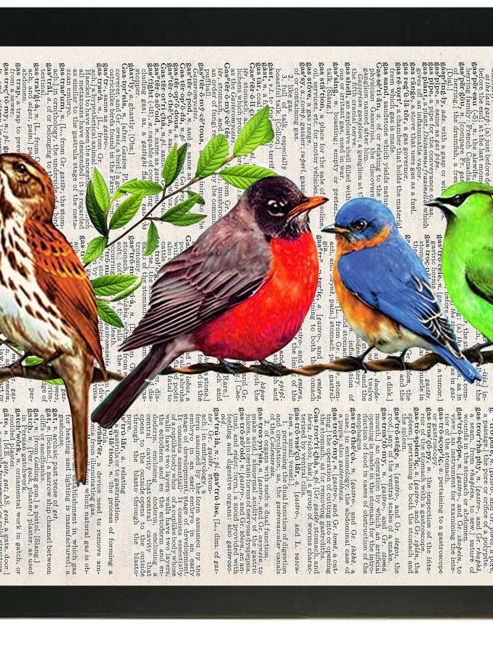 BELOS PÁSSAROS 3 PC LIGADO PAREDE ARTE por atacado de ARTNWORDZ LLC