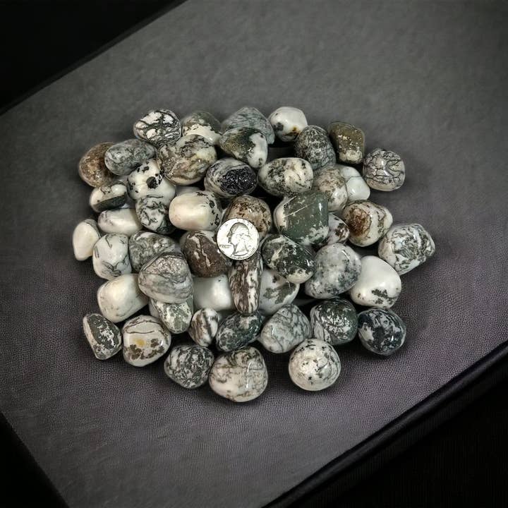 Raj Minerals Inc – wholesale Andlig sten/kristall – Träd agat Tumla Stenar - 1 kilo1