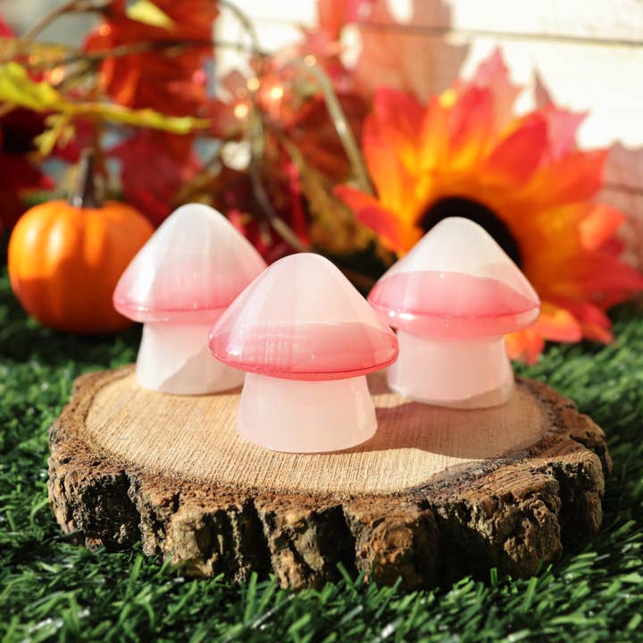 Natures Artifacts Inc - Wholesale Spiritual Stone/Crystal - White Onyx Mushroom with Red Top 1