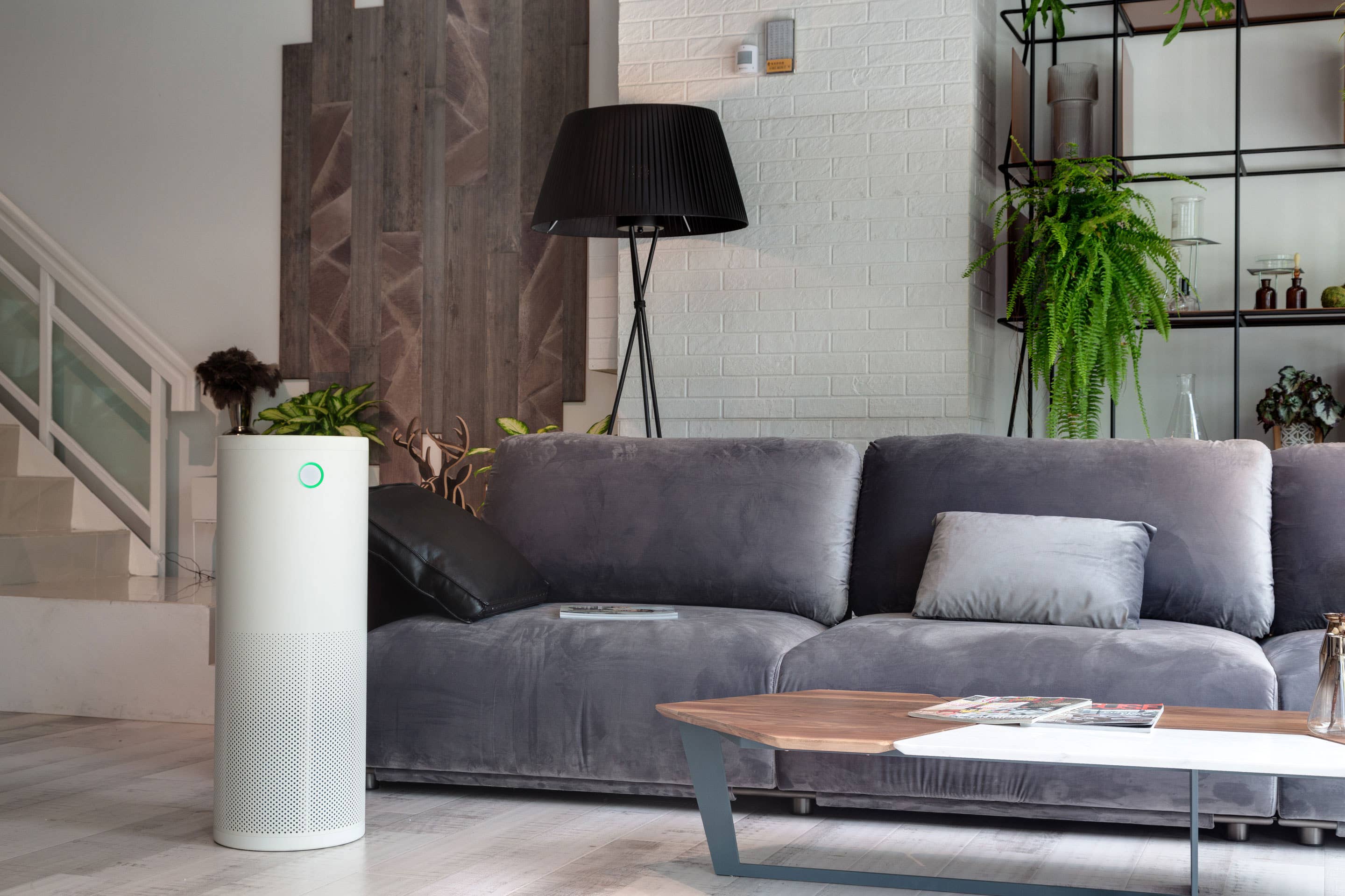 AirExchange - Wholesale Retailer Display - Home & Living - AirExchange 600-T White - Air Purifier4