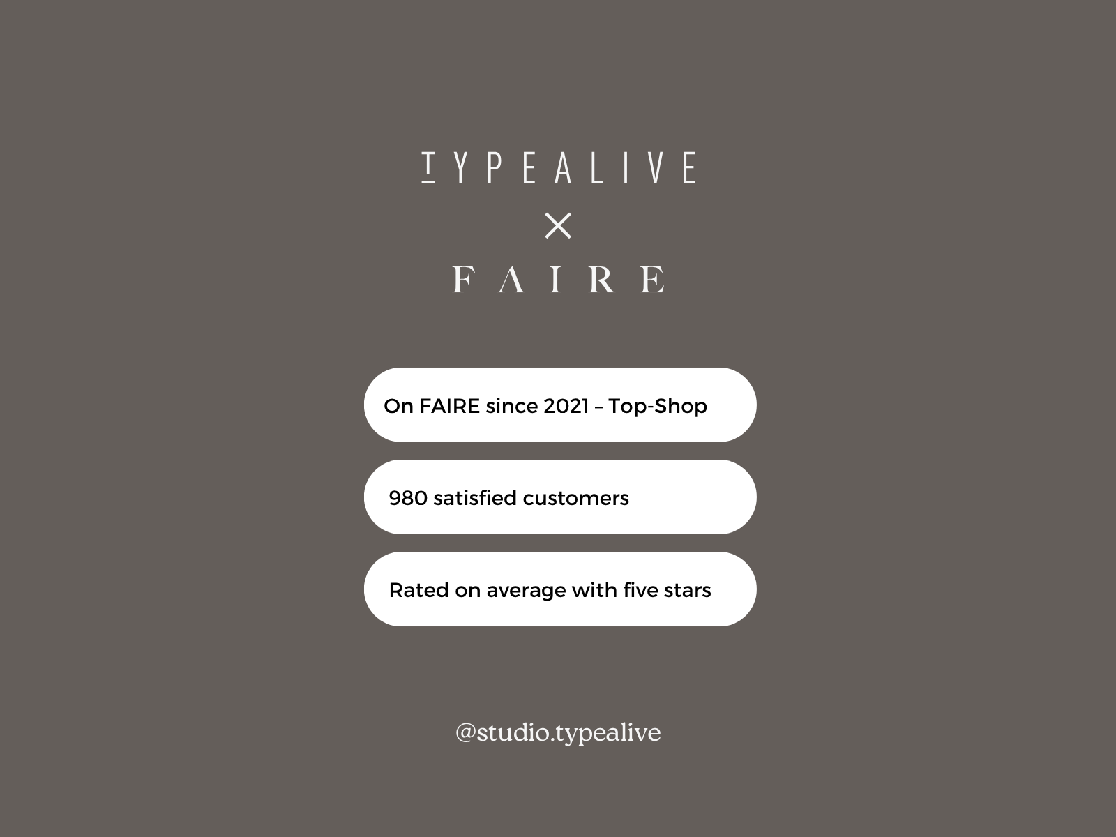 typealive - Wholesale Grocery/Shopping Bag - Mystery Box / 15 Cotton Bags5