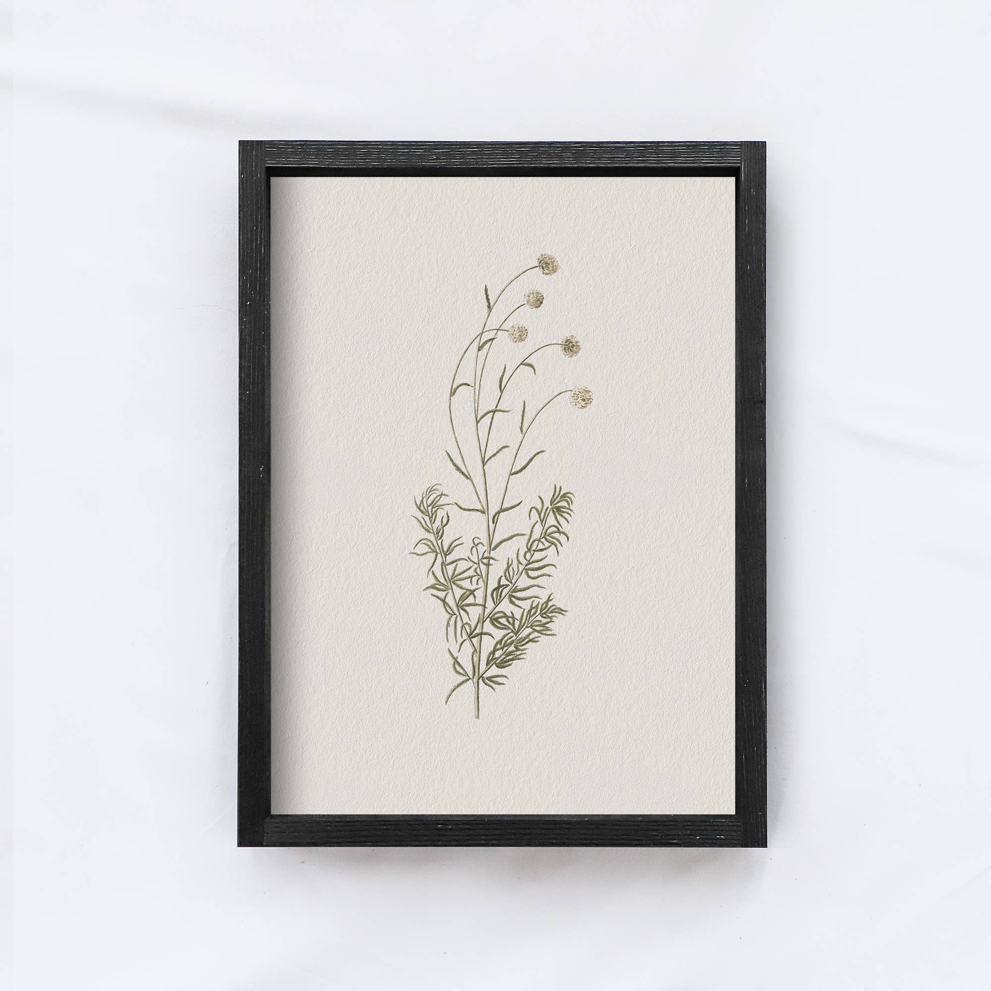 Hoekstra Decor - Wholesale Art Print - Floral Print Framed |Botanical Flower Print A1067