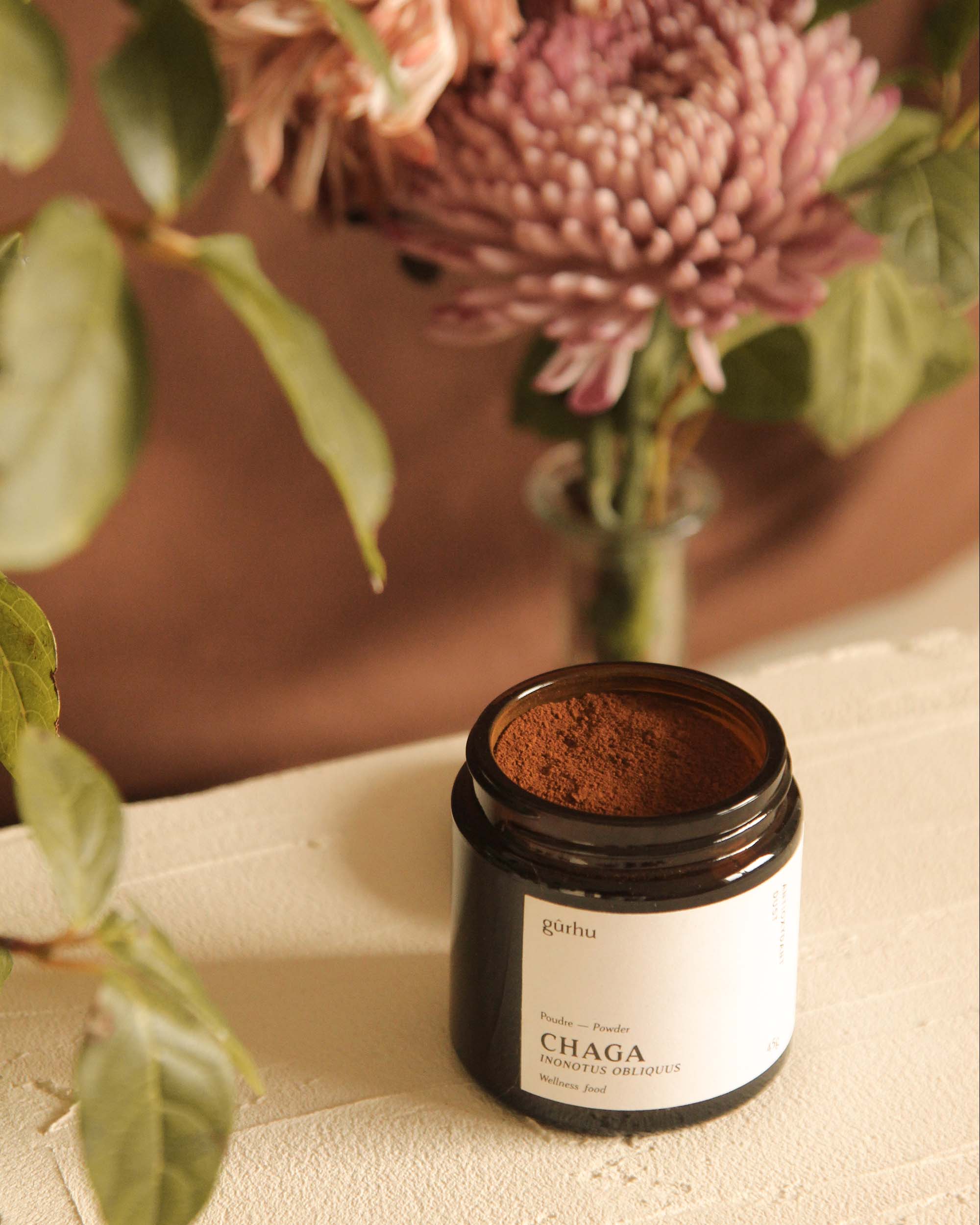 Gûrhu - Wholesale Protein/Superfood Powder - Chaga powder - Antioxidant dust1