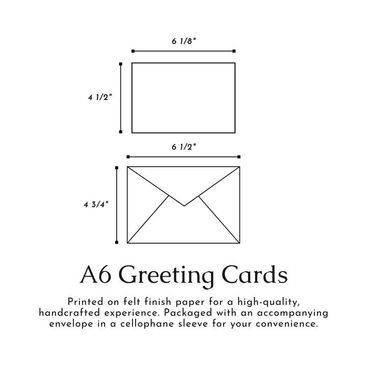 Tiday Art - Wholesale Everyday Greeting Card - Floral Bouquets Greeting Card Pack – A6 Set of Six8