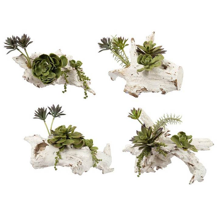 A&B Home Group Inc. - Wholesale Artificial Plant - S/4 Maline Succulent2