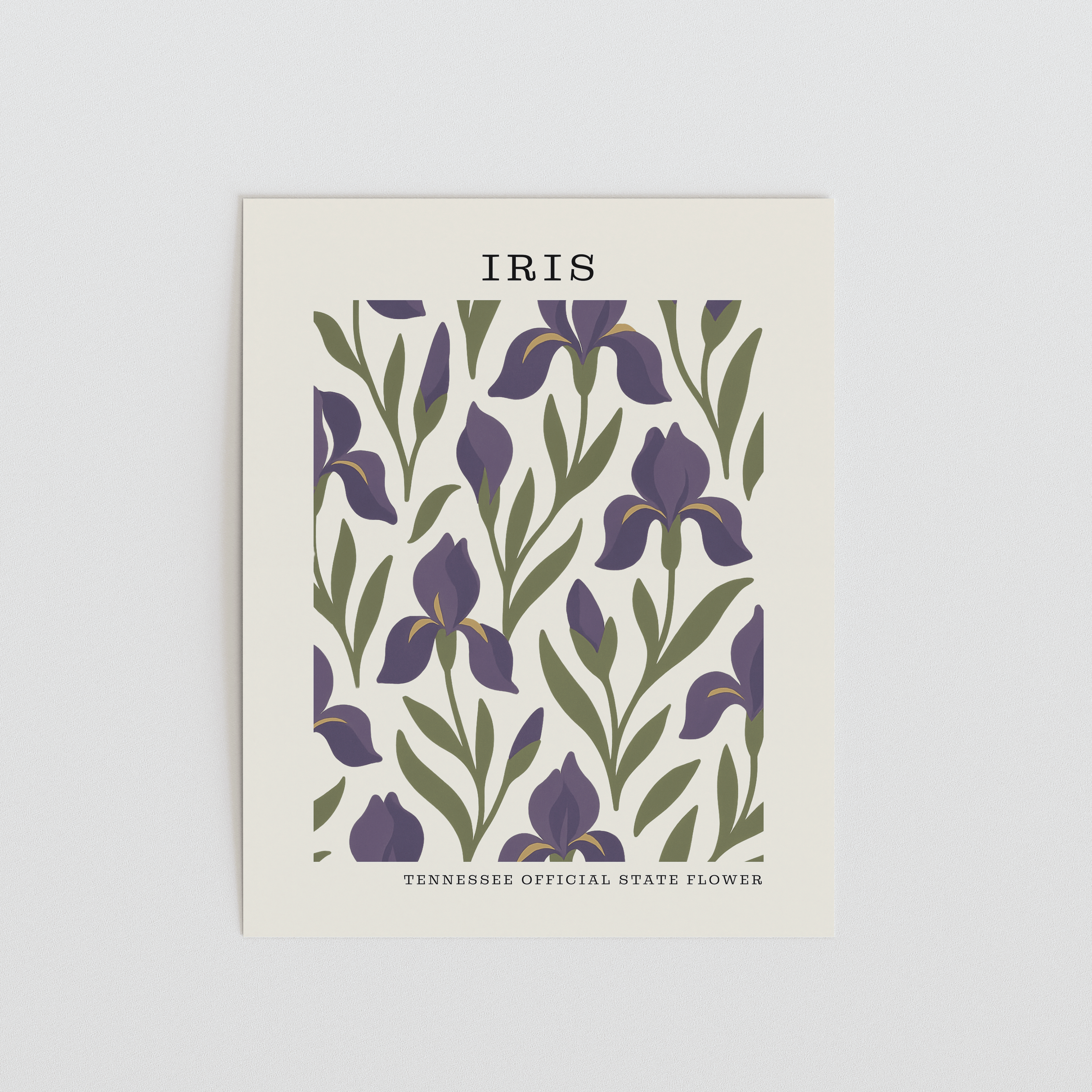 The FlatFile Society - Wholesale Art Print - Tennessee State Flower Art Print – Iris1