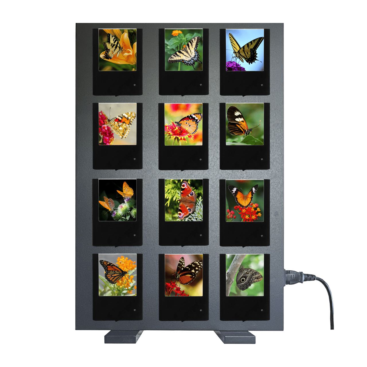 Nightlight Studio - Vendita all'ingrosso Espositore per rivenditori - Esposizione di Luci Notturne - 12 Posti *ACQUISTO MINIMO RICHIESTO*3