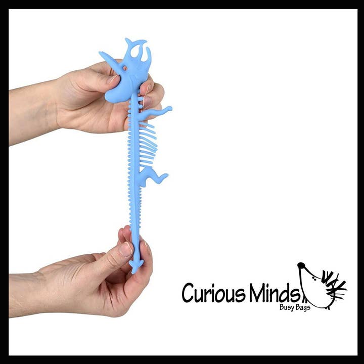 Curious Minds Toys – Großhandel Fidget Toy – Kinder – 1 x dehnbares Nudelband mit Dinosaurierskelett und fossilem Knochen8