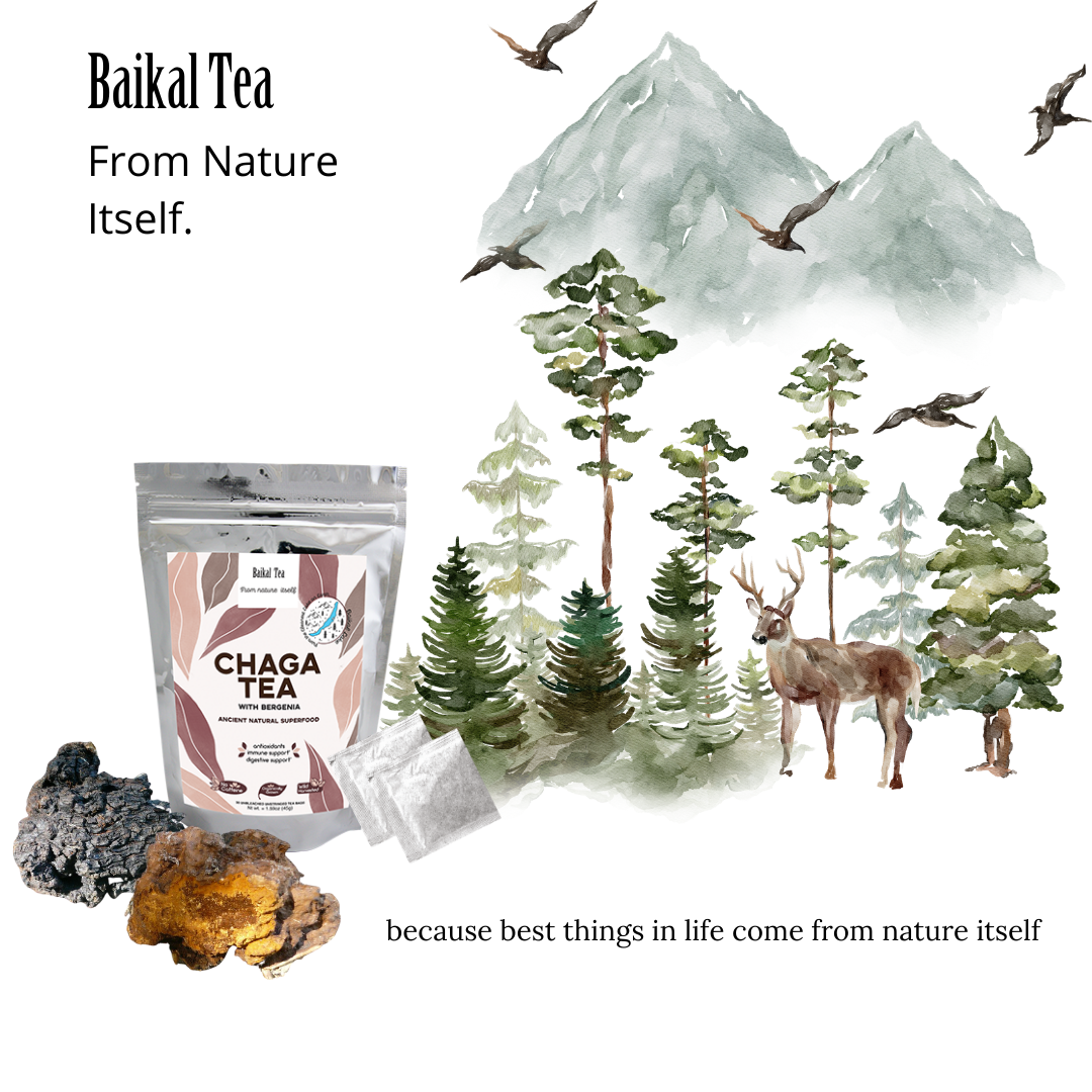 Baikal Tea – Chá de saúde/Detox por atacado – Chá Chaga com Bergenia12