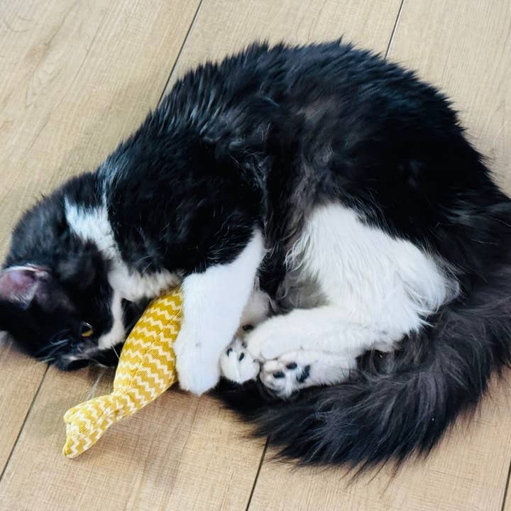 Koira - Wholesale Pet Toy - Cat - Gone Fishin' Fish Catnip Kicker Cat Toy2