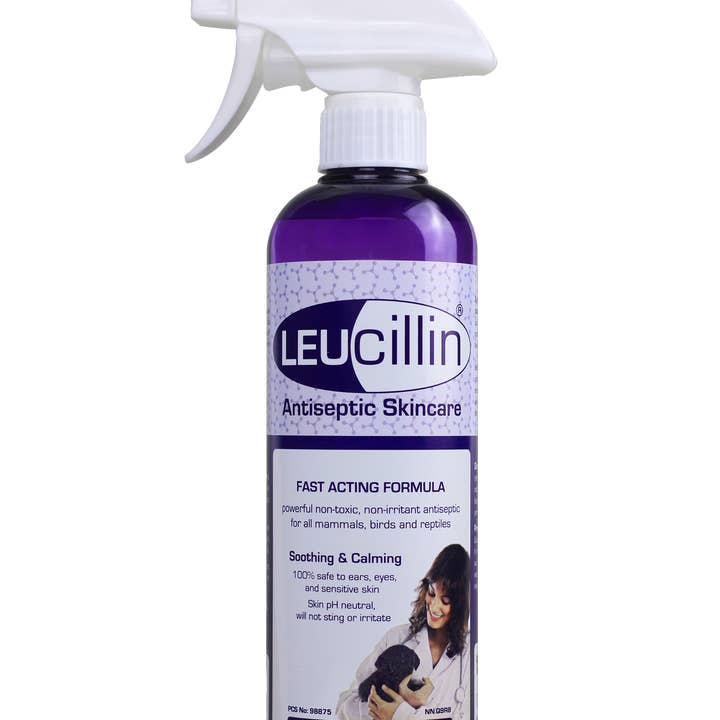 Leucillin – wholesale Husdjursspray - Katt och hund – Leucillin Pet Antiseptisk Spray | 500 ml0
