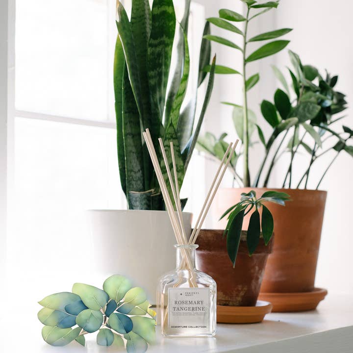 Peripeti Home - Wholesale Reed Diffuser - Reed Diffuser for Flame Free Home Fragrance, Non-Toxic3