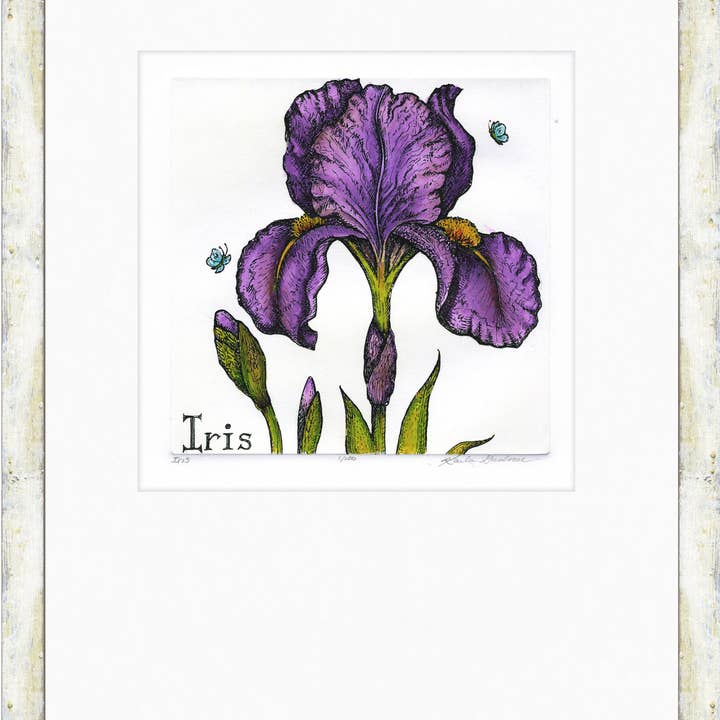 WVIN - Iris for wholesale by Karla Gudeon Art & Design