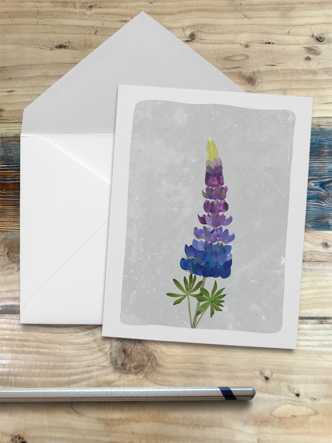 Wren and the Raven – wholesale Stationery/notecard set – Alaska Wildlife Series Notecards19